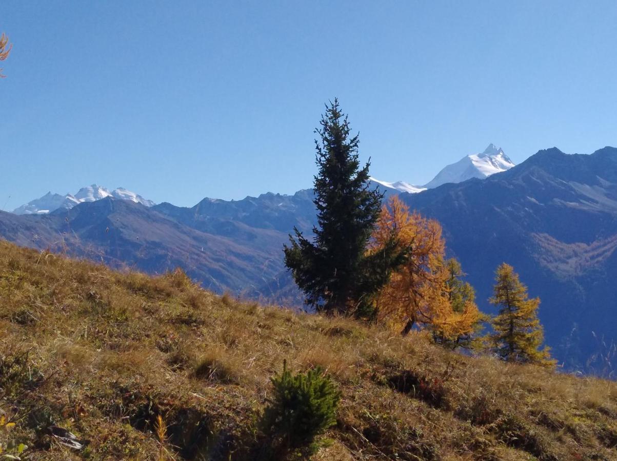 Chalet Waldrand Inden Bagian luar foto